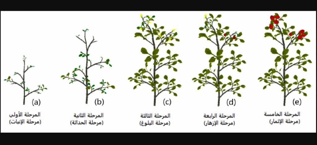 Screenshot 1912 | موسوعة الشرق الأوسط