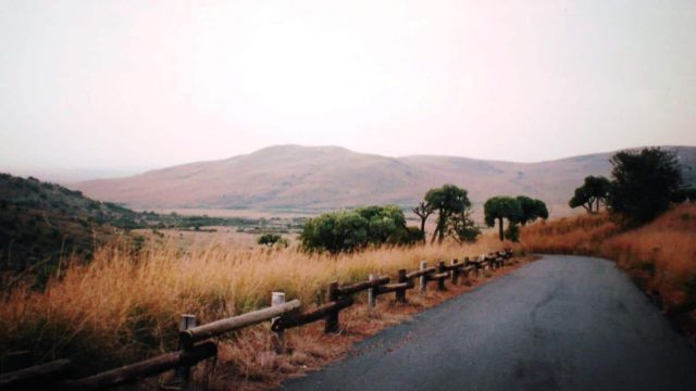 South Africa Gauteng Suikerbosrand Nature Reserve | موسوعة الشرق الأوسط