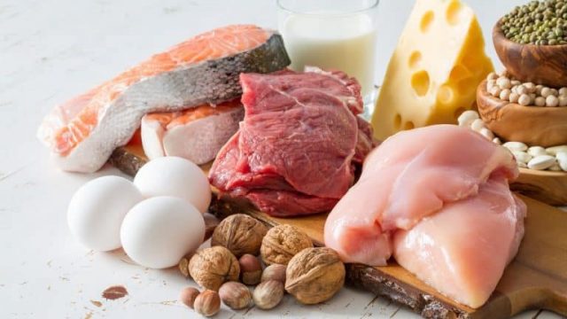 The amount of protein in food | موسوعة الشرق الأوسط