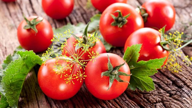 Vegetables Tomatoes Dill 485432 1680x1050 | موسوعة الشرق الأوسط