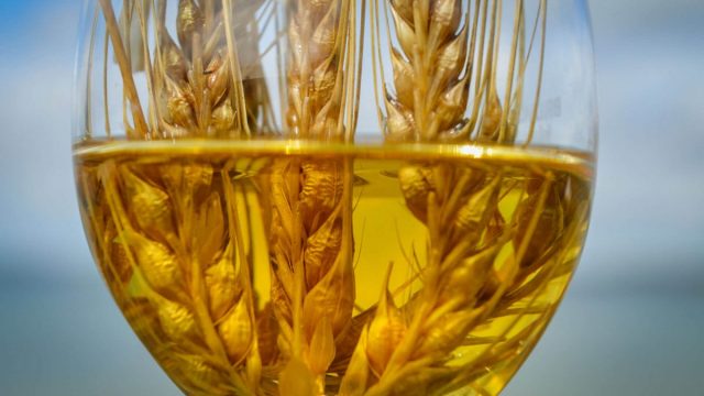 WCI barley in glass 2 1200x800 | موسوعة الشرق الأوسط