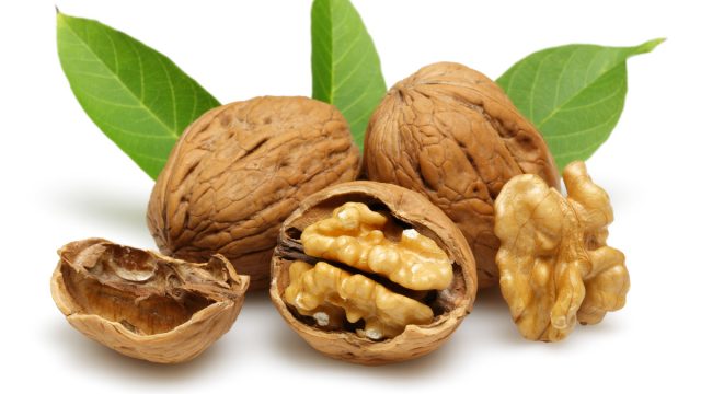 Walnut | موسوعة الشرق الأوسط