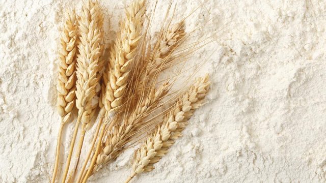 WheatFlour Lead | موسوعة الشرق الأوسط