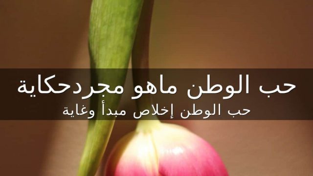 XpbozldNTa 1446673390152 | موسوعة الشرق الأوسط