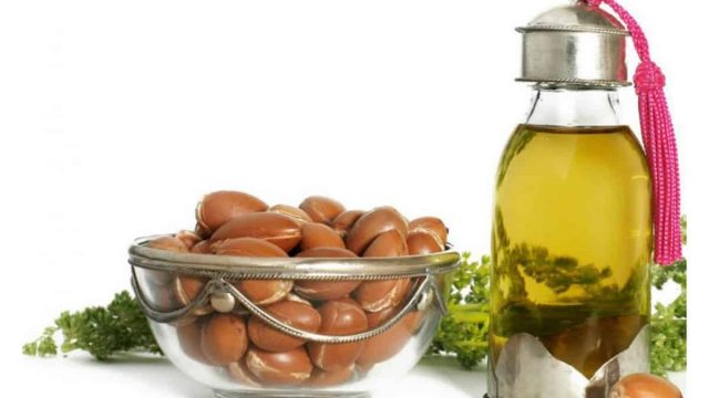 argan 1200x800 | موسوعة الشرق الأوسط