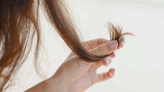 assessing hair | موسوعة الشرق الأوسط