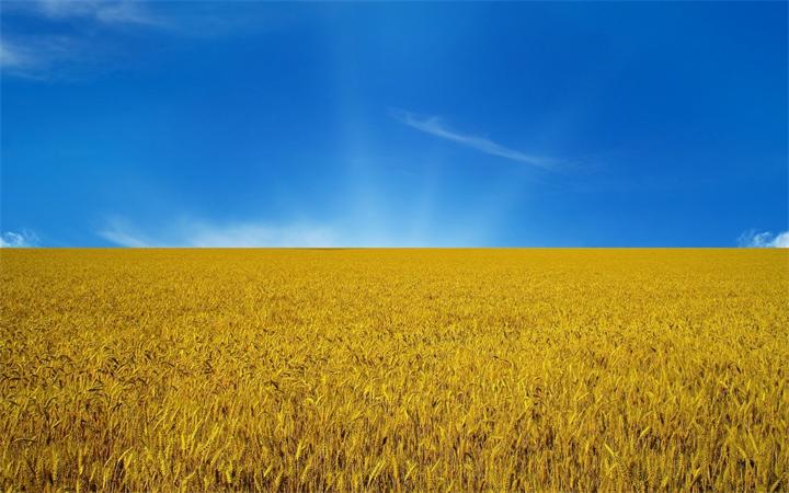 blue yellow Ukraine | موسوعة الشرق الأوسط