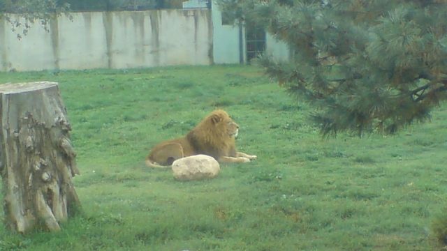 bursa zoo osman gazi | موسوعة الشرق الأوسط