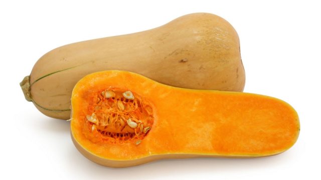 butternutsquash11391829 | موسوعة الشرق الأوسط