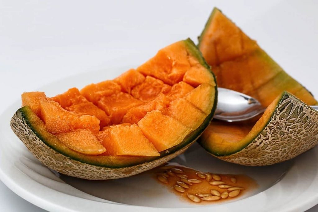 cantaloupe 470252 1280 | موسوعة الشرق الأوسط