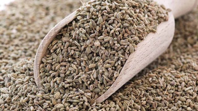 celery seeds 1200x8001 | موسوعة الشرق الأوسط