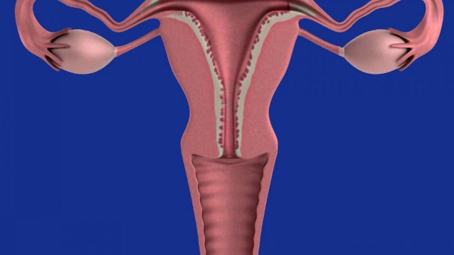 cervix feel like in early pregnancy | موسوعة الشرق الأوسط