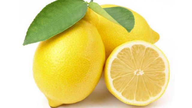 citron 0 | موسوعة الشرق الأوسط