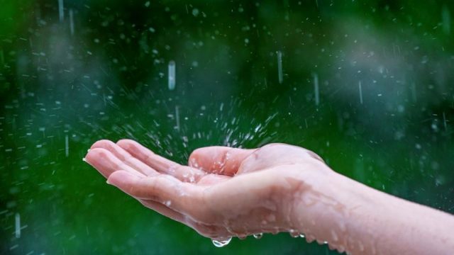 close up of wet female hands in rain 1 | موسوعة الشرق الأوسط