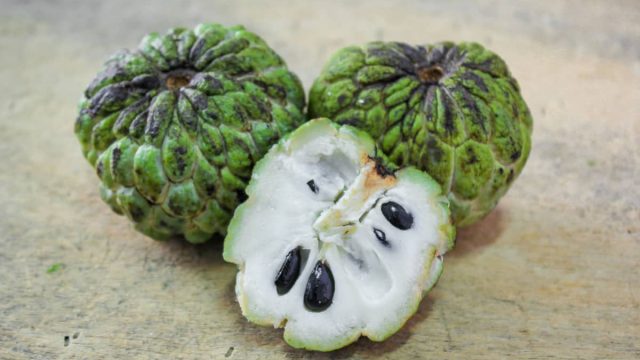 custard apple | موسوعة الشرق الأوسط