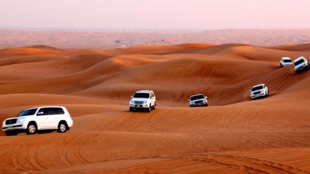 desert safari | موسوعة الشرق الأوسط