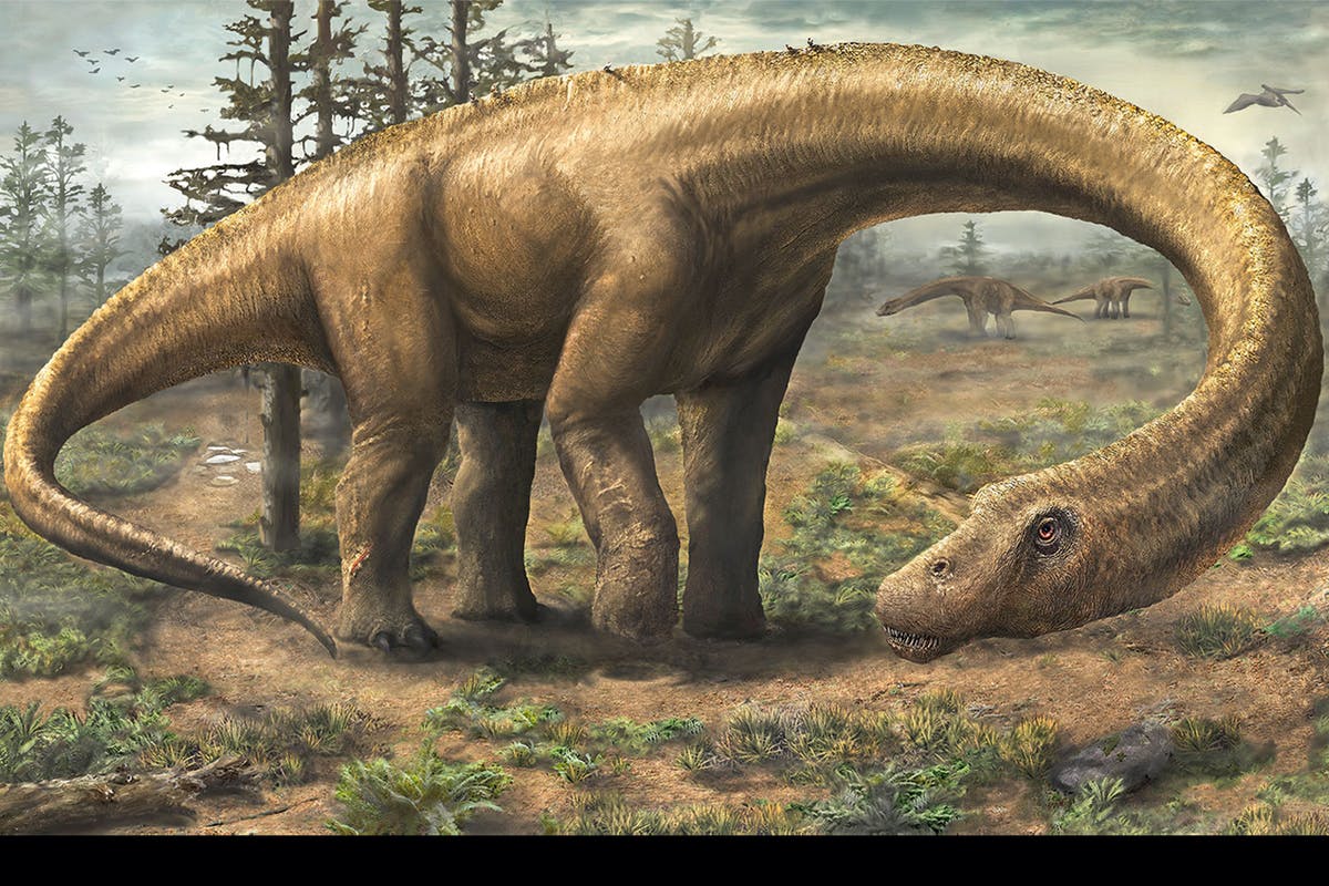 dinosaur dreadnoughtus | موسوعة الشرق الأوسط