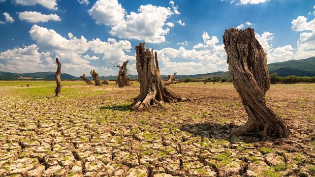 dry land | موسوعة الشرق الأوسط