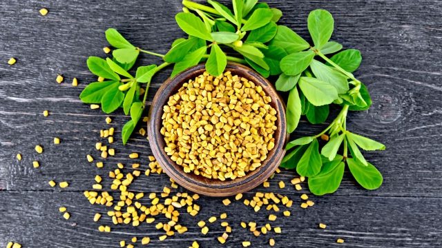 fenugreek benefits and harms | موسوعة الشرق الأوسط