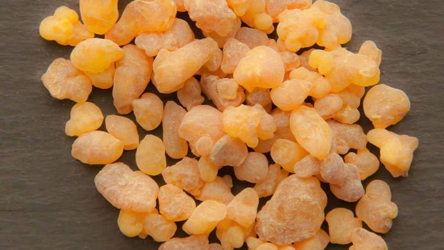 frankincense resin 1200x800px | موسوعة الشرق الأوسط