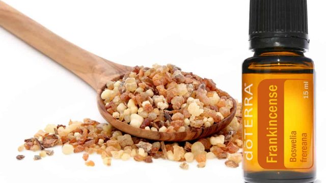 frankincense doTerra | موسوعة الشرق الأوسط