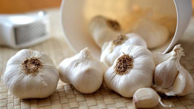 garlic 545223 960 720 | موسوعة الشرق الأوسط