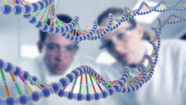 genetic traits | موسوعة الشرق الأوسط