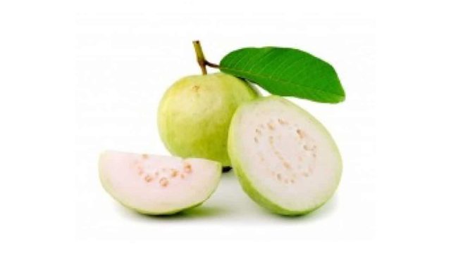 guavathailand 228x228 1200x800 | موسوعة الشرق الأوسط