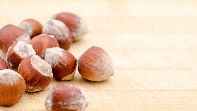 hazelnut 6 | موسوعة الشرق الأوسط