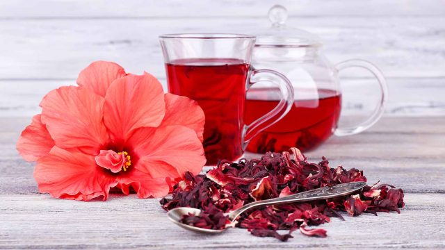 hibiscus tea flower natural herb remedy high blood pressure hypertension | موسوعة الشرق الأوسط