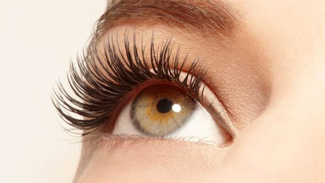 how to increase eyelashes5 | موسوعة الشرق الأوسط