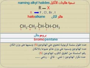 hqdefault | موسوعة الشرق الأوسط