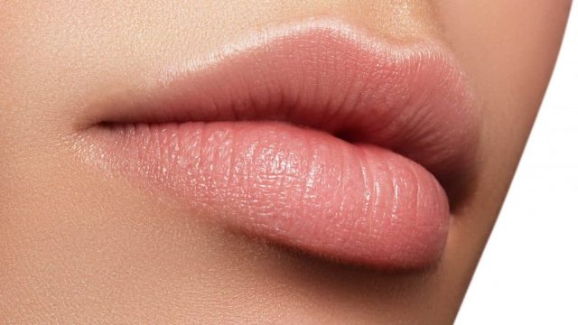 lips stock 1024x683 | موسوعة الشرق الأوسط