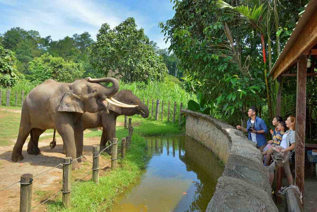 lok kawi zoo | موسوعة الشرق الأوسط