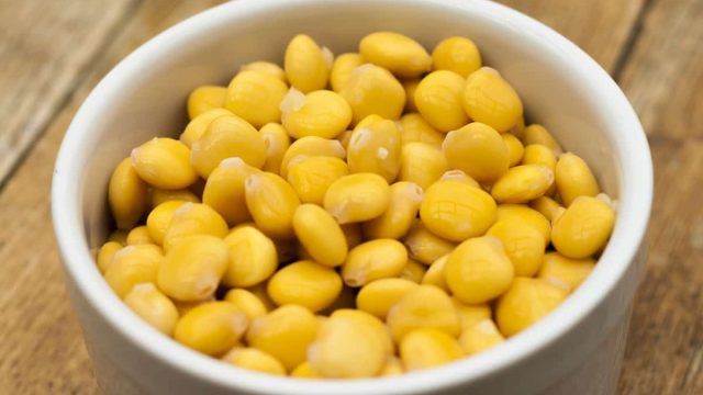 lupini gialli1 | موسوعة الشرق الأوسط