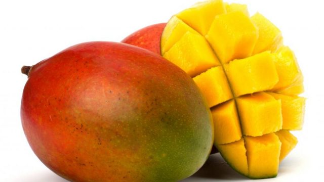 mango | موسوعة الشرق الأوسط