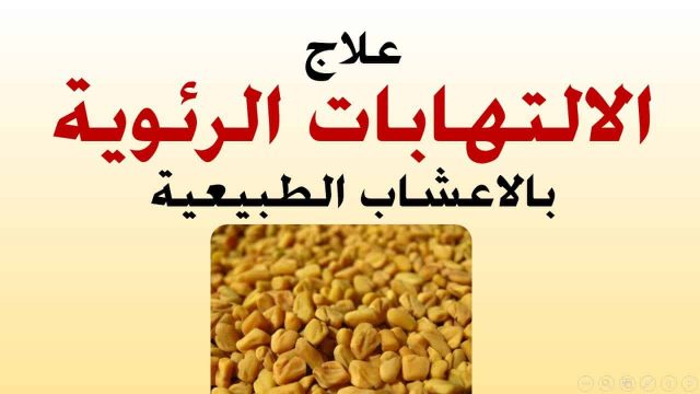 maxresdefault 56 | موسوعة الشرق الأوسط