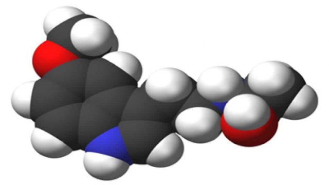 melatonine | موسوعة الشرق الأوسط