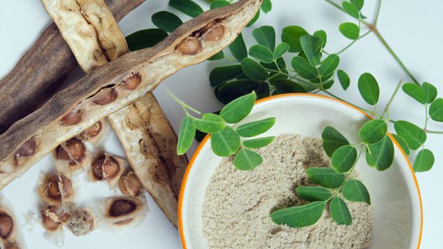 moringa1 | موسوعة الشرق الأوسط