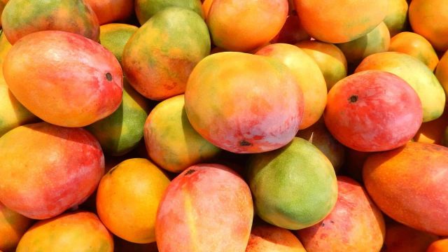 nz frost fans mango and tropical fruit crop protection | موسوعة الشرق الأوسط