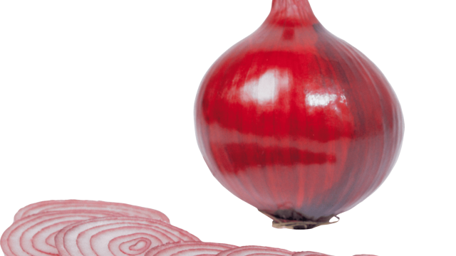 onion PNG3822 | موسوعة الشرق الأوسط