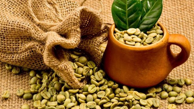 organic green beans coffee 1 1ddea989 297a 444f 8b71 d19f2a586573 1200x | موسوعة الشرق الأوسط