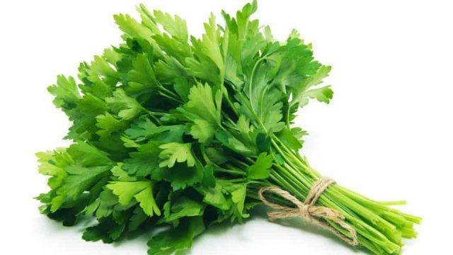 parsley | موسوعة الشرق الأوسط