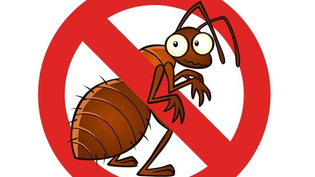 pest control | موسوعة الشرق الأوسط