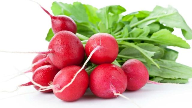 radishes x1 | موسوعة الشرق الأوسط