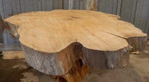 red elm wood coffee dining table round circle lumber slab log tree tree slab coffee table l 1a0102ecb6a67b2d | موسوعة الشرق الأوسط