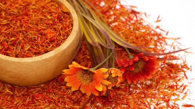 safflower Cropped | موسوعة الشرق الأوسط