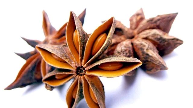 star anise | موسوعة الشرق الأوسط