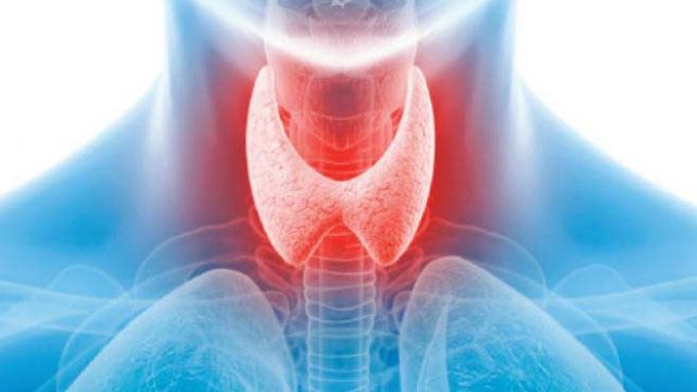 thyroid | موسوعة الشرق الأوسط