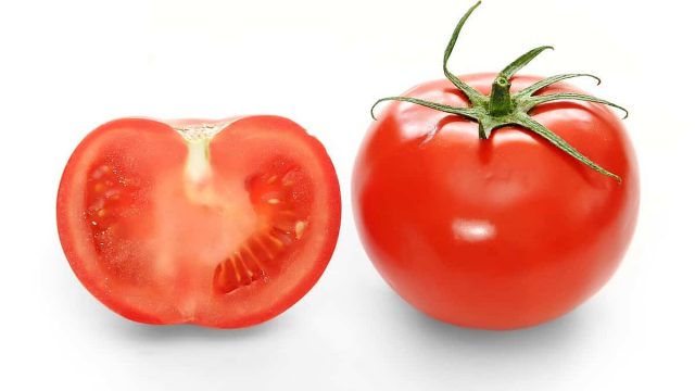 tomato | موسوعة الشرق الأوسط